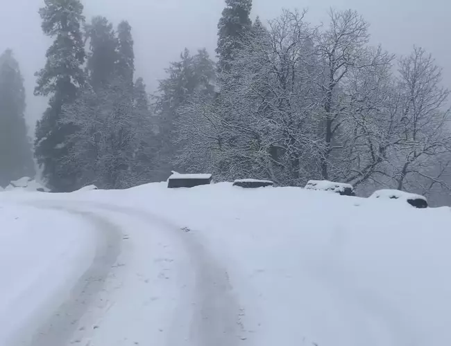 Manali to Hampta Pass Taxi - Snow